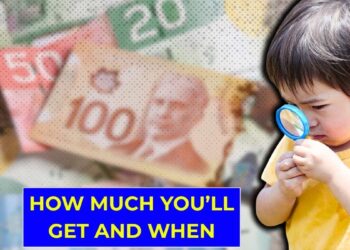 November 2025 CCB Payment Guide: How Much You’ll Get and When